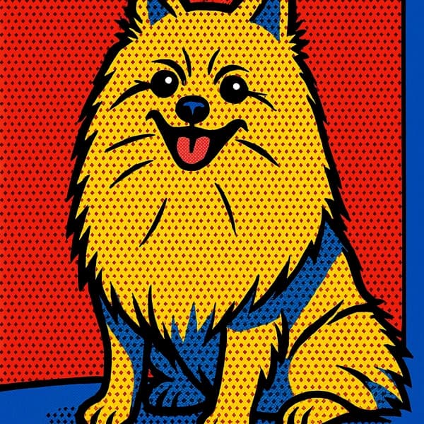 Pet Pop Art pet portrait example 2